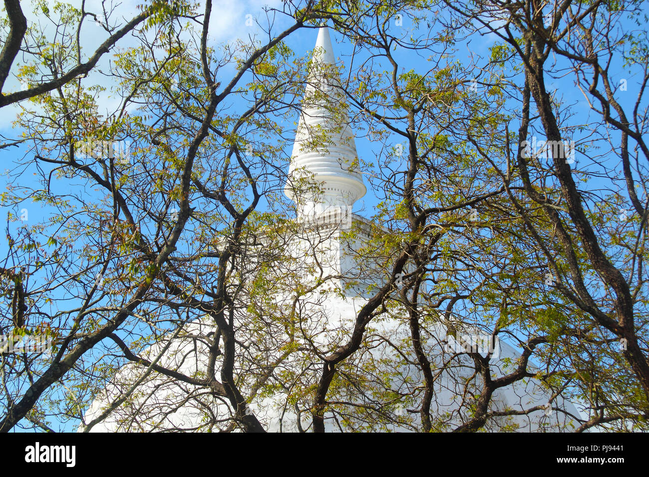 Beauriful buddhistische Stupa in Sri Lanka (Kiri Vehera) Stockfoto