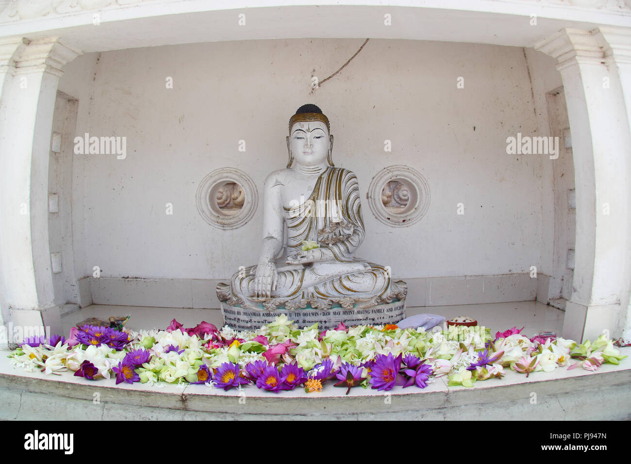 Blume Angebote zu weißen Buddha Statue in Sri Lanka Stockfoto