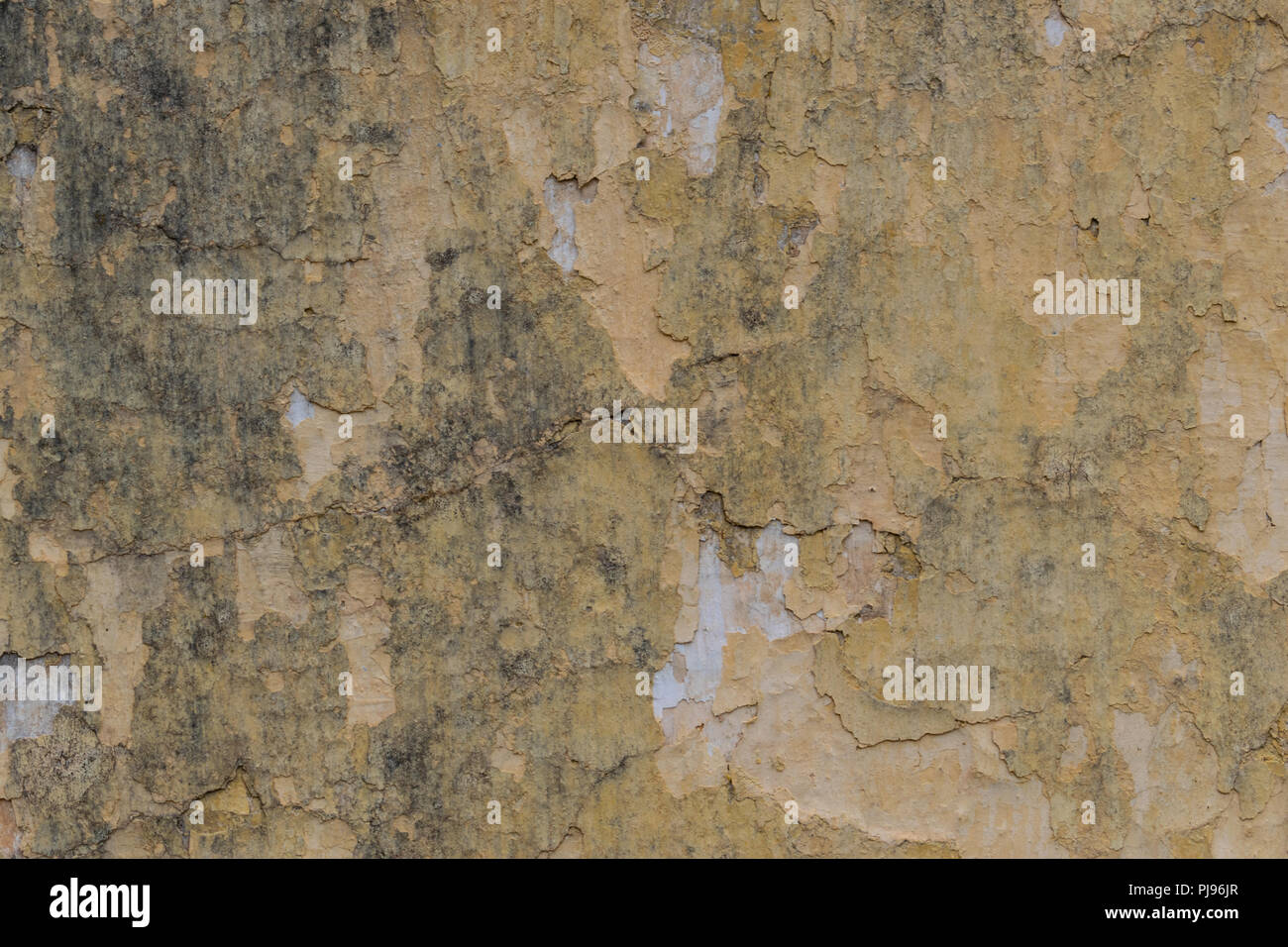 Risse im Alten plasterwall, Farbspäne strukturierten Hintergrund Stockfoto