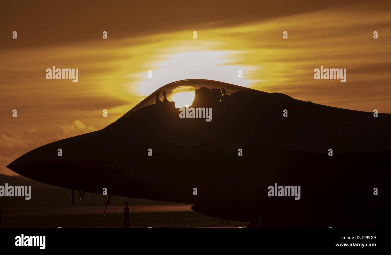 Ein US Air Force F-22 Raptor von Joint Base Elmendorf-Richardson, Alaska, sitzt auf der Flightline, 8. Juli 2018, bei Yokota Air Base, Japan. Acht F-22 s von Kadena Air Base, Japan wegen Taifun Maria evakuiert. Die F-22 wird unter Theater Sicherheitspaket US-FIRMA PACOM (TSP) Programm, das im Betrieb seit 2004 eingesetzt. Stockfoto