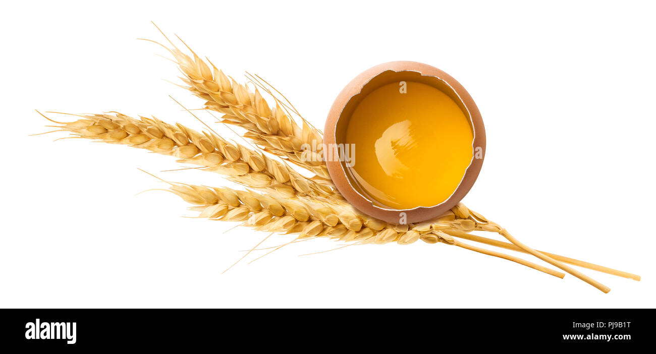 Frisches Eigelb Weizen Ohr auf weißem Hintergrund als Package Design Element isoliert Stockfoto