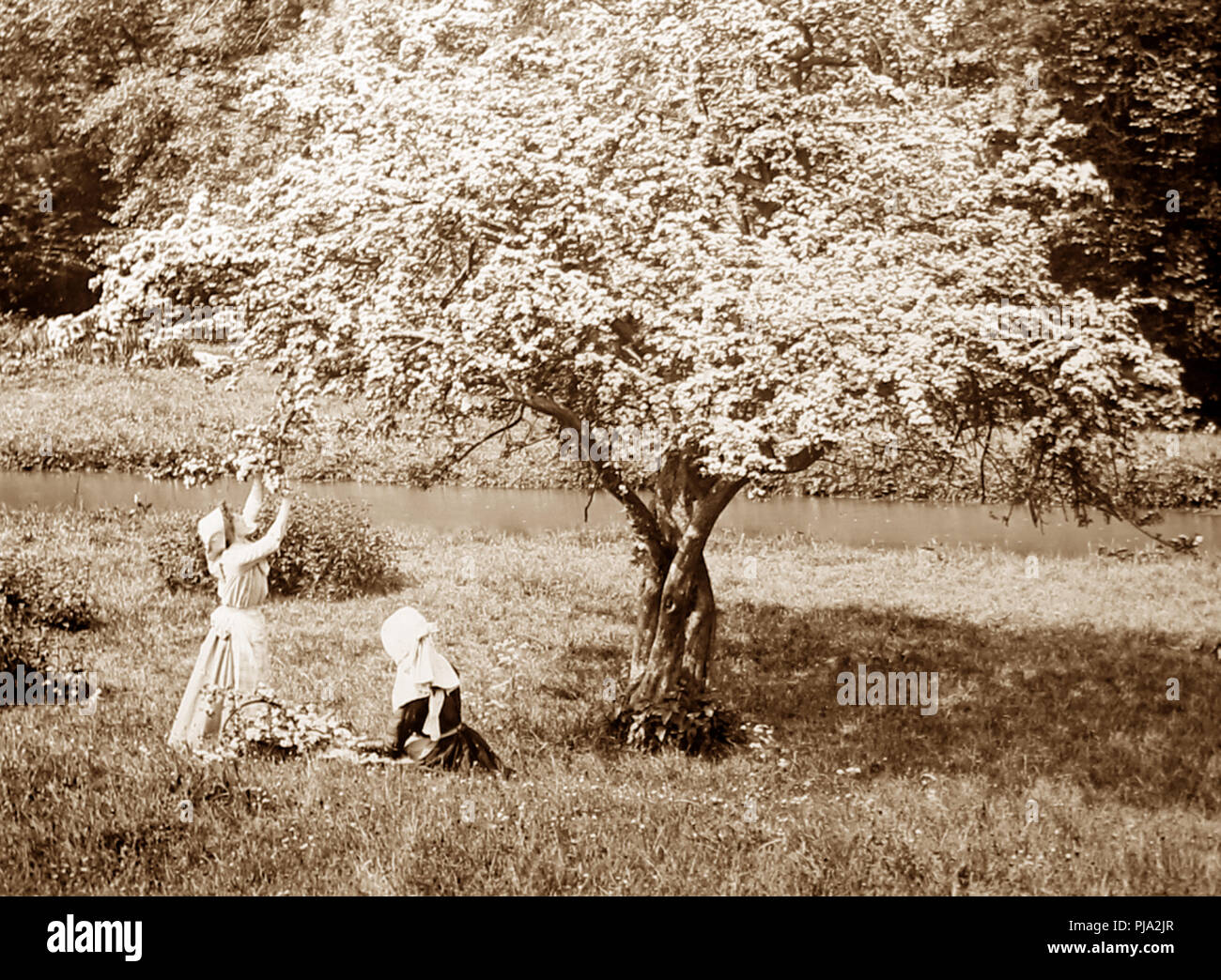 Das ländliche Leben, Viktorianischen Periode Stockfoto