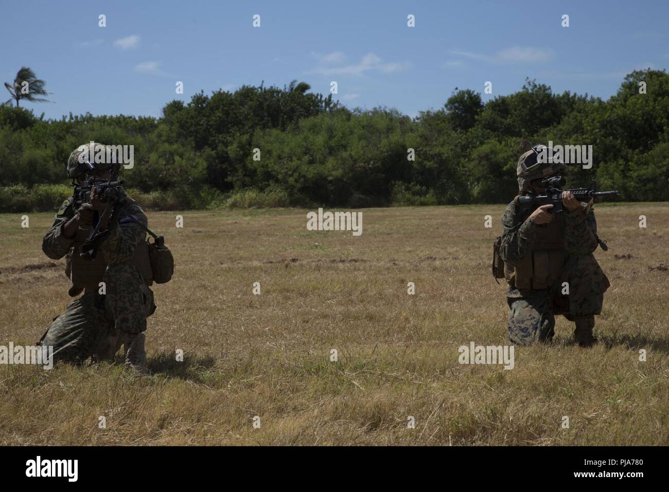 MARINE CORPS BASE HAWAII (5. Juli 2018) der US-Marines mit Unternehmen C, 1.BATAILLON, 3. Marine Regiment, und malaysischen Soldaten post Sicherheit beim Angriff Amphibienfahrzeug Einarbeitung Training als Teil der Felge des Pazifiks (Rimpac) Übung auf der Marine Corps Base Hawaii Juli 5, 2018. RIMPAC bietet hochwertige Ausbildung für Task-organisierte, hoch-fähigen Marine Air-Ground Task Force und erhöht die kritische Reaktion auf Krisen Fähigkeit der US-Marines im Pazifik. 25 Nationen, 46 Schiffe, 5 U-Boote, über 200 Flugzeuge und 25.000 Angestellte beteiligen sich an Rimpac von Ju Stockfoto