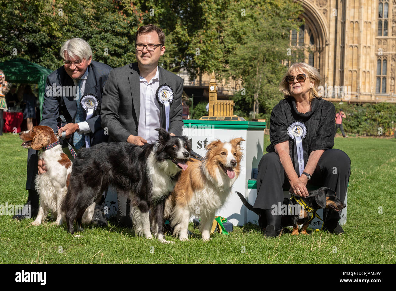 London, Großbritannien. 6. September 2018 Westminster Dog des Jahres Ereignis in Victoria Tower Gardens, London, UK., Sieger der Veranstaltung Alex Norris MP mit seinen Hunden Boomer und Corna. (Mitte) Andrew Mitchell MP mit seinem Hund Scarlet (links), die Zweite und Cheryl Gillian MP kam der dritte Kredit Ian Davidson/Alam Live Nachrichten kamen Stockfoto