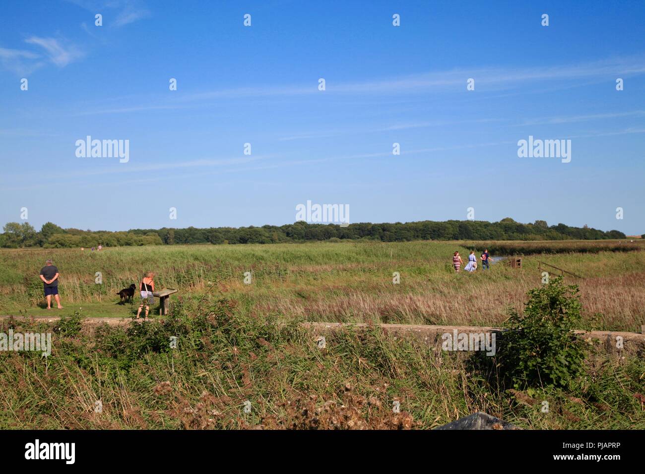 Snape Maltings Suffolk UK Sommer 2018 Stockfoto