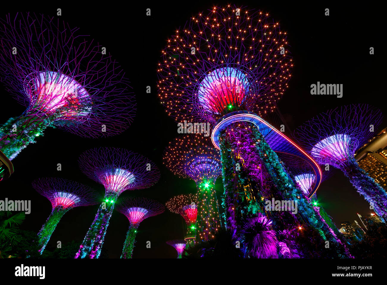 SuperTree Grove Gardens by the Bay, Singapur Stockfoto