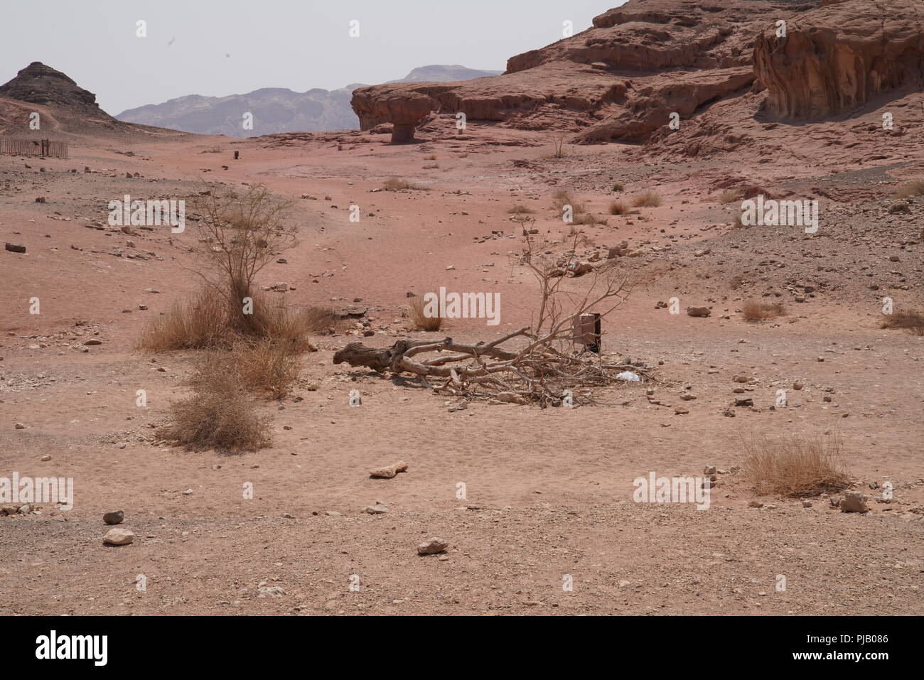 Israelische TIMNA PARK Stockfoto