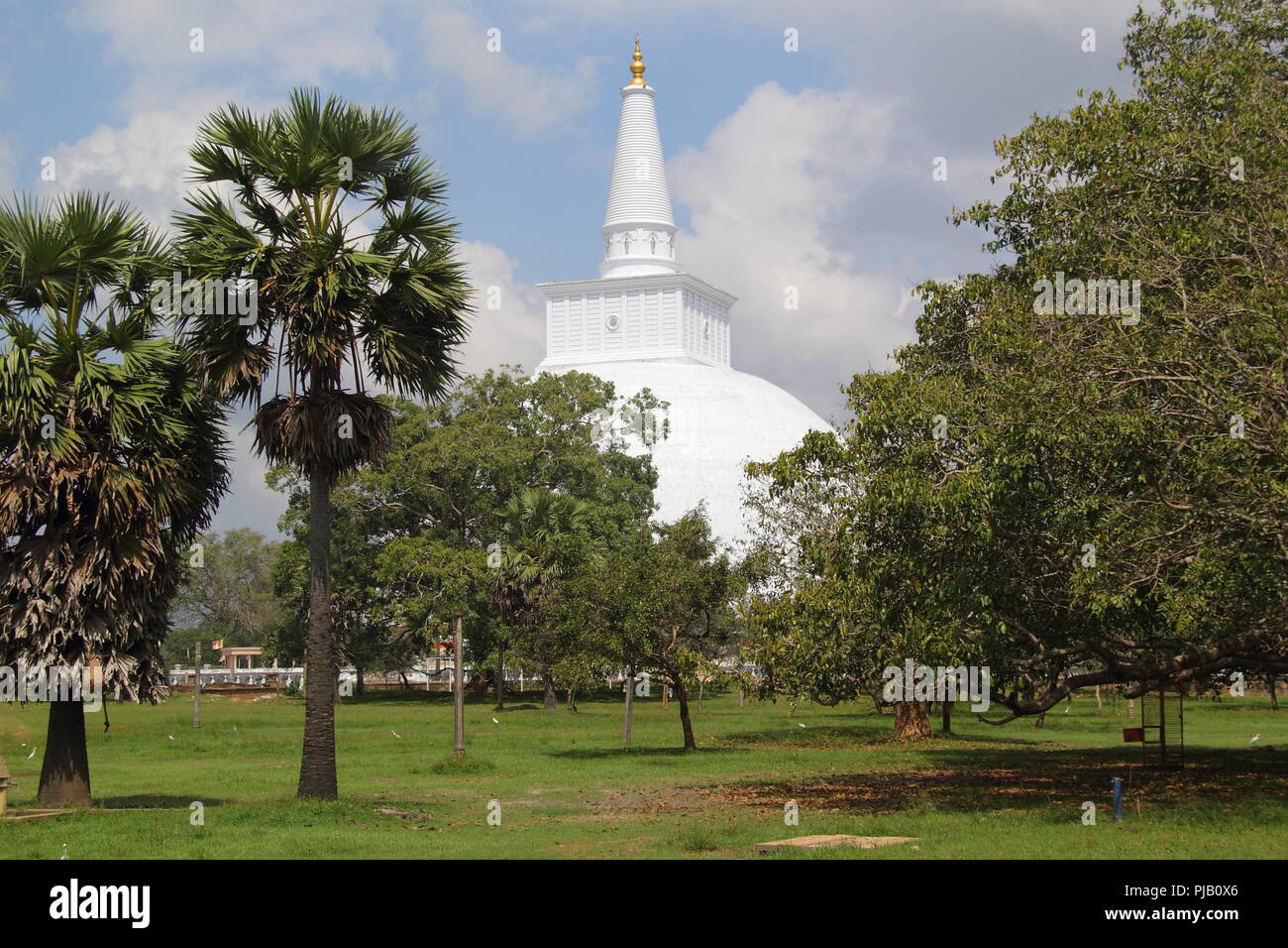 Weiß buddhistische Stupa in Sri Lanka Stockfoto