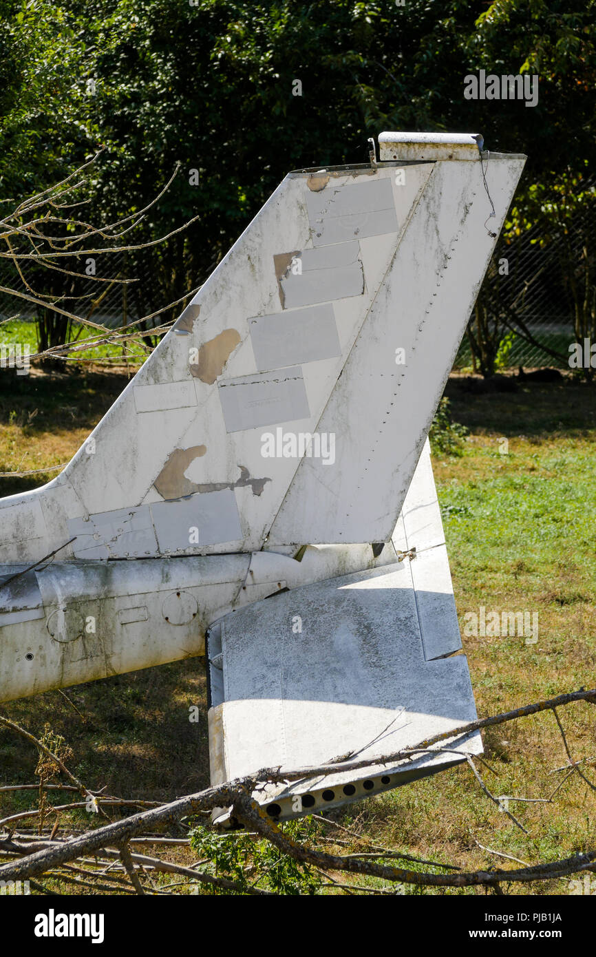 Abgestuerztes Flugzeug, Vogelpark, Villars les Dombes, Frankreich Stockfoto
