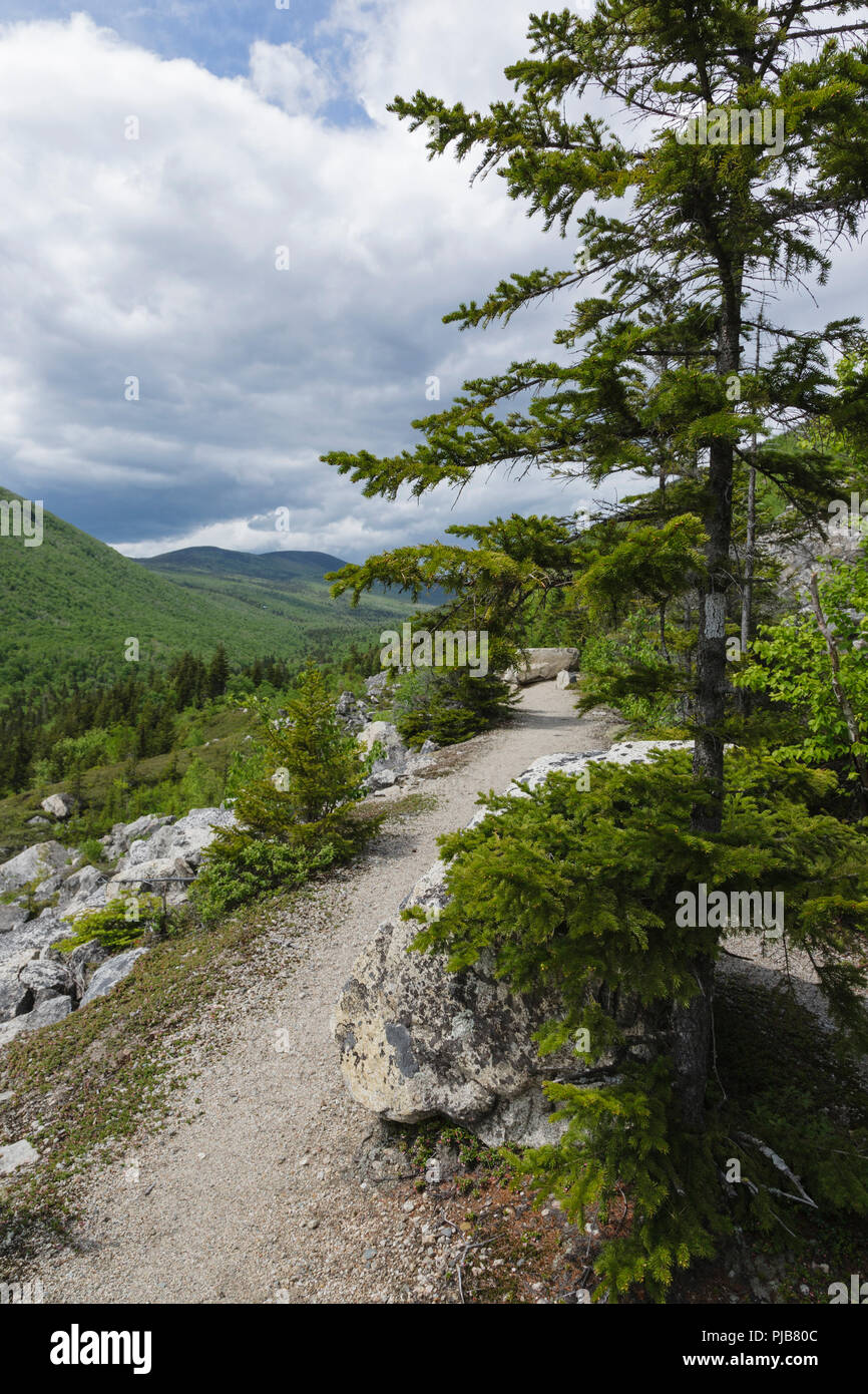Zealand Notch - Panoramaaussicht vom Appalachian Trail (Ethan Pond Trail) in den New Hampshire White Mountains. Stockfoto