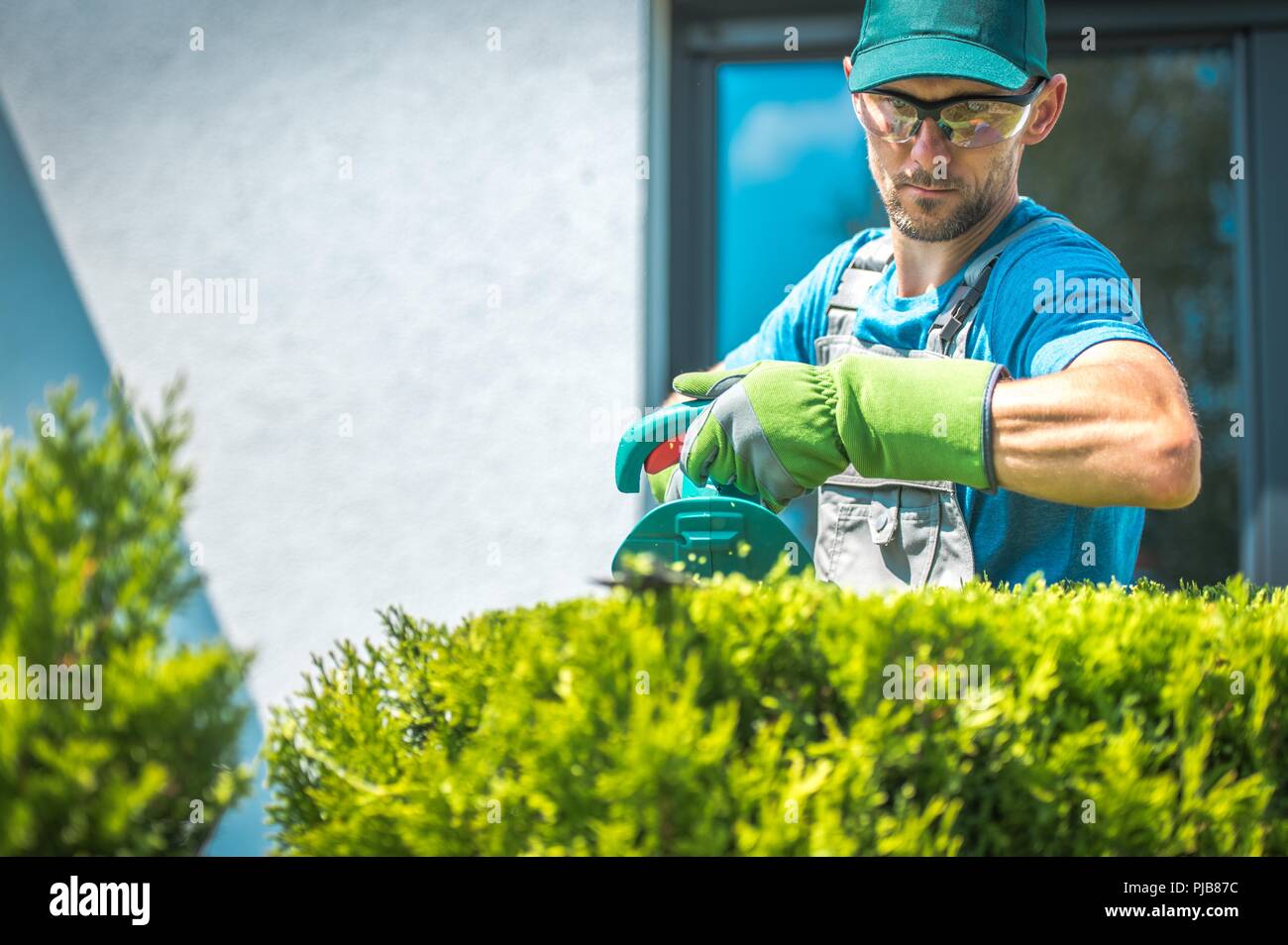 Professionelle kaukasischen Gärtner in seinem 30s Fräsen Strauch mit elektrischen Trimmer. Stockfoto