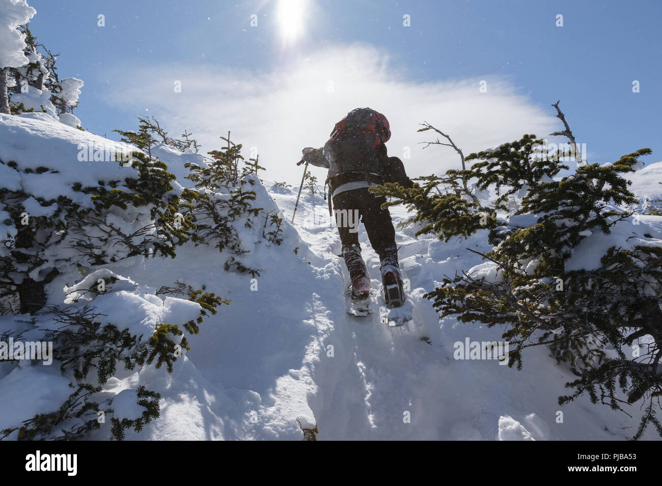 Ein Winter Wanderer aufsteigend die Luftleitung Trail in den White Mountains, New Hampshire USA während der Wintermonate. Stockfoto