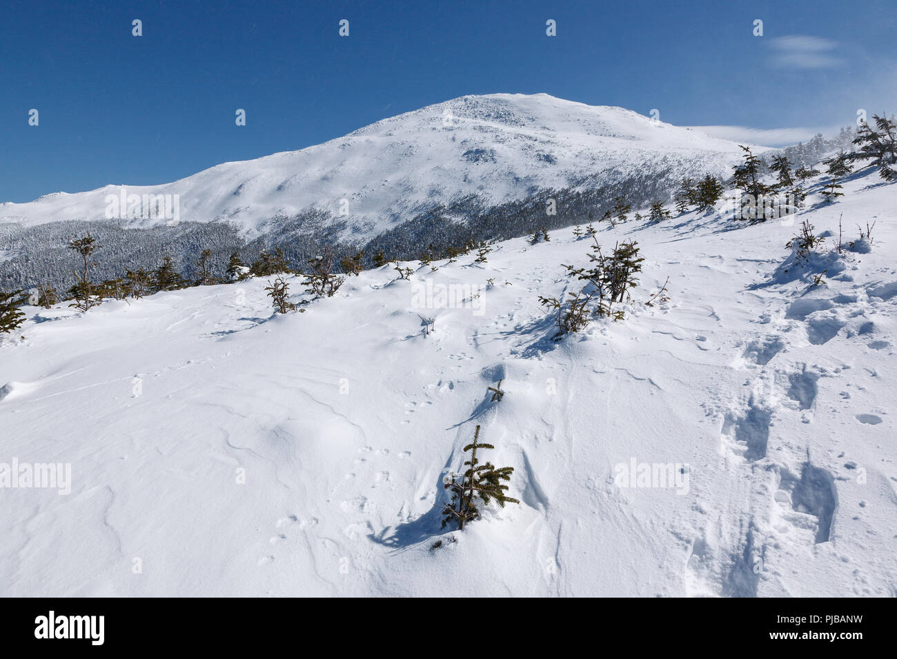 Ein Winter Wanderer aufsteigend die Luftleitung Trail in den White Mountains, New Hampshire USA während der Wintermonate. Stockfoto