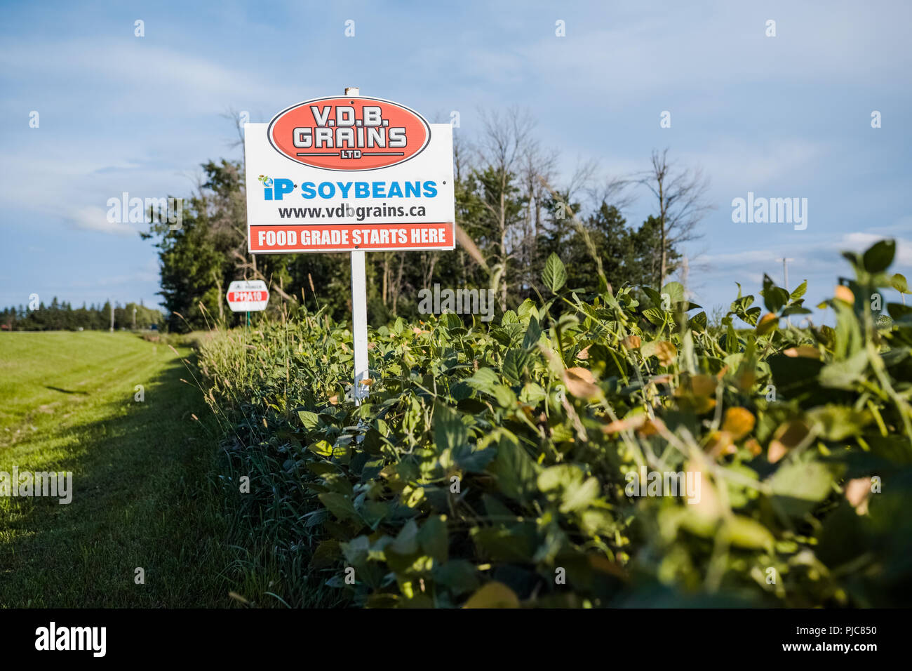 Am Ende eines Soyabohnefeld, sehen wir ein Zeichen, das sagt: 'V.O.D. Körner LTD, Food Grade beginnt hier" Stockfoto