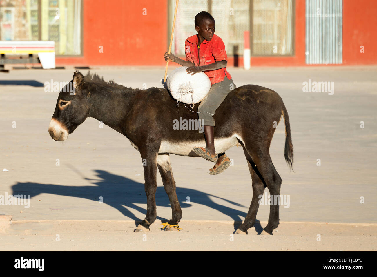 Junge sitzt auf Esel, Opuwo, Namibia, HERR: Nein, Junge sitzt auf Esel, HERR: Nein Stockfoto