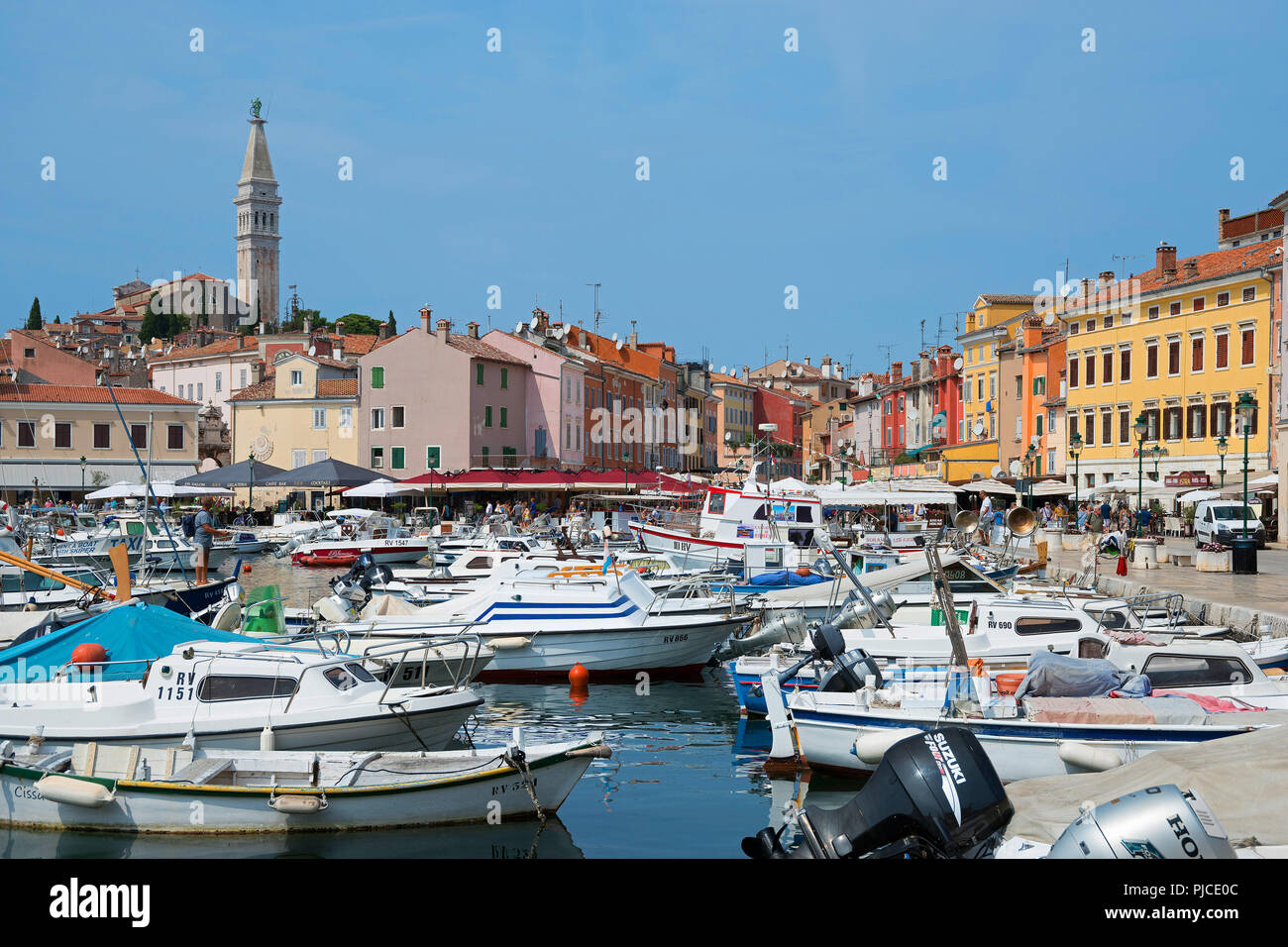 Altstadt und Hafen, Rovinj, Istrien, Kroatien, Altstadt und Hafen, Kroatien Stockfoto