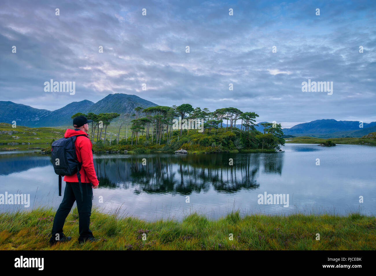 Junge Wanderer an der Pine Island im Derryclare Lough Stockfoto