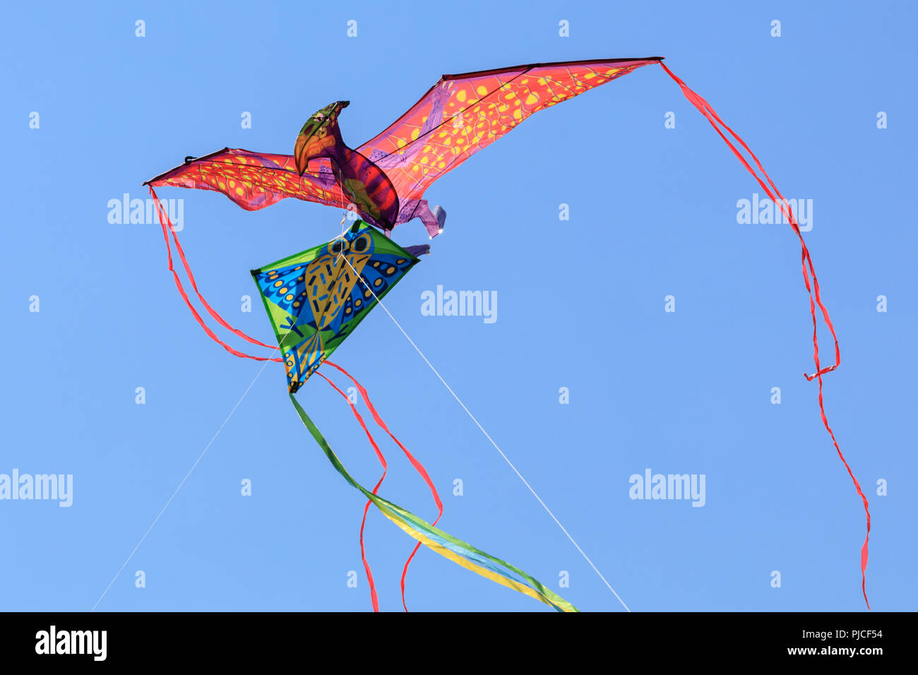 Bunte Drachen fliegen gegen deep blue sky Stockfoto