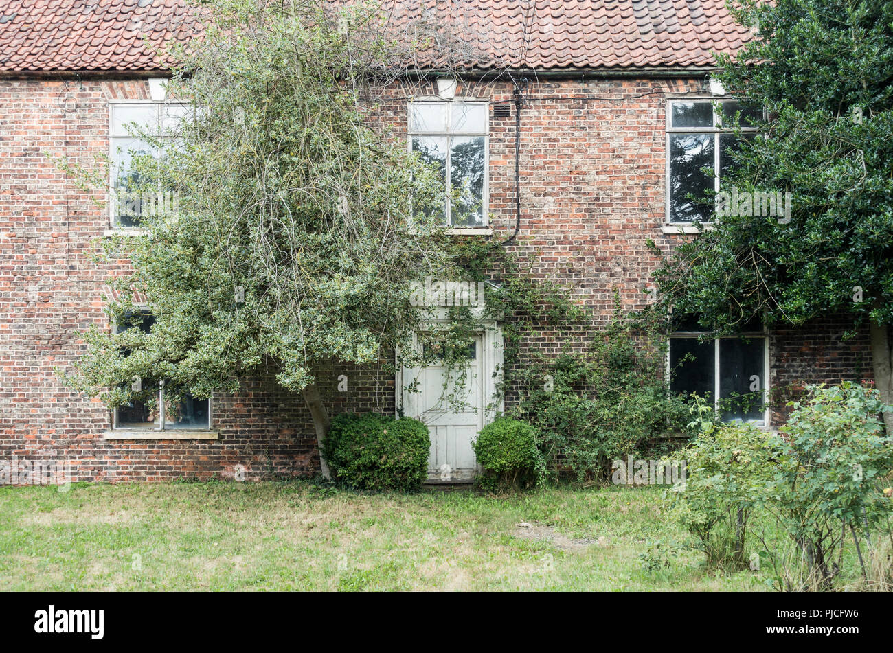 Bäume und Sträucher wachsen rund um Tür auf Country House. Großbritannien Stockfoto