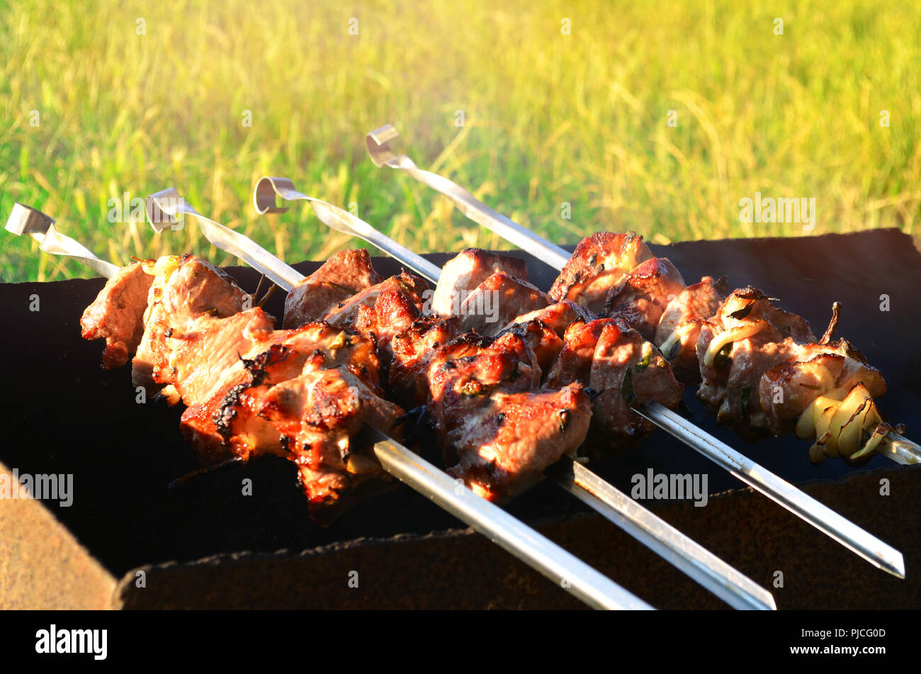 Appetitlich Shish Kebab im Urlaub, fleisch, Schweinefleisch, leckeres Essen, Stockfoto