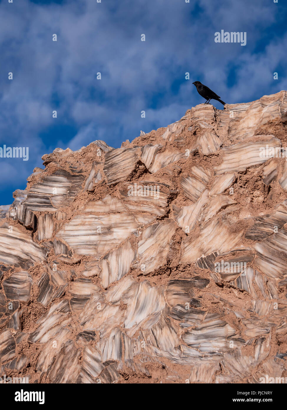 Auf Glas Berg, Cathedral Valley, Capitol Reef National Park, Utah Vogel. Stockfoto