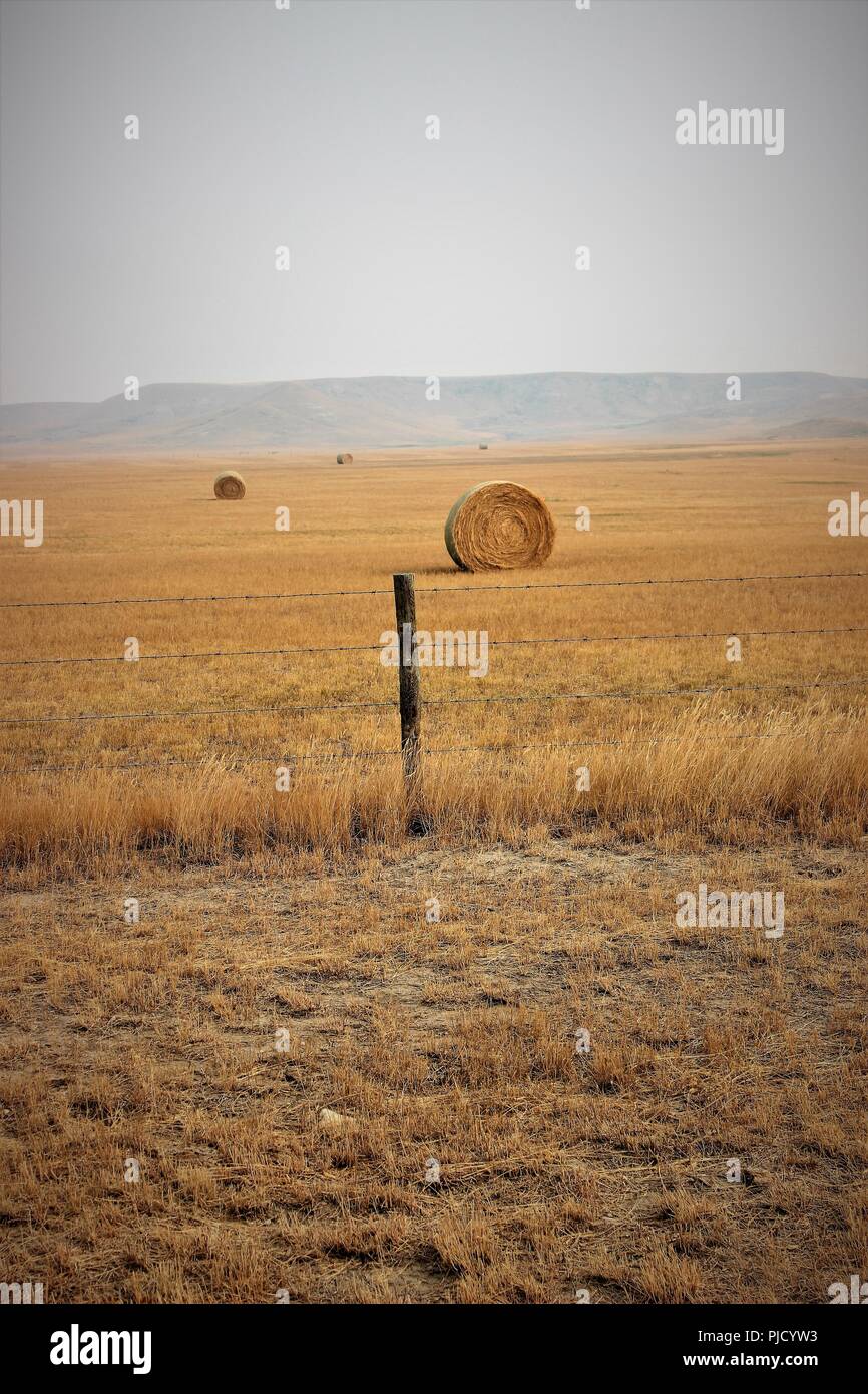 Rundballen in die Prärien Stockfoto
