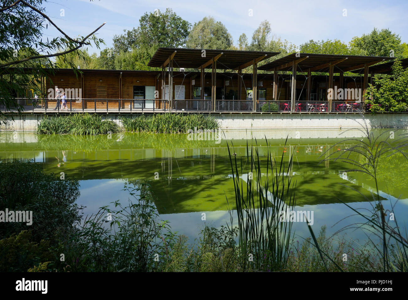 Allgemeine Ansicht der Vögel Park, Villars les Dombes, Ain, Frankreich Stockfoto