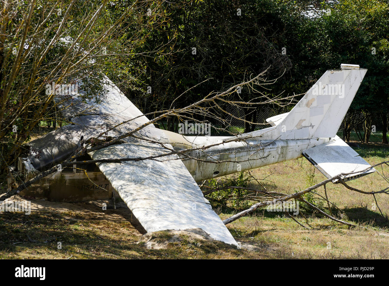 Abgestuerztes Flugzeug, Vogelpark, Villars les Dombes, Frankreich Stockfoto