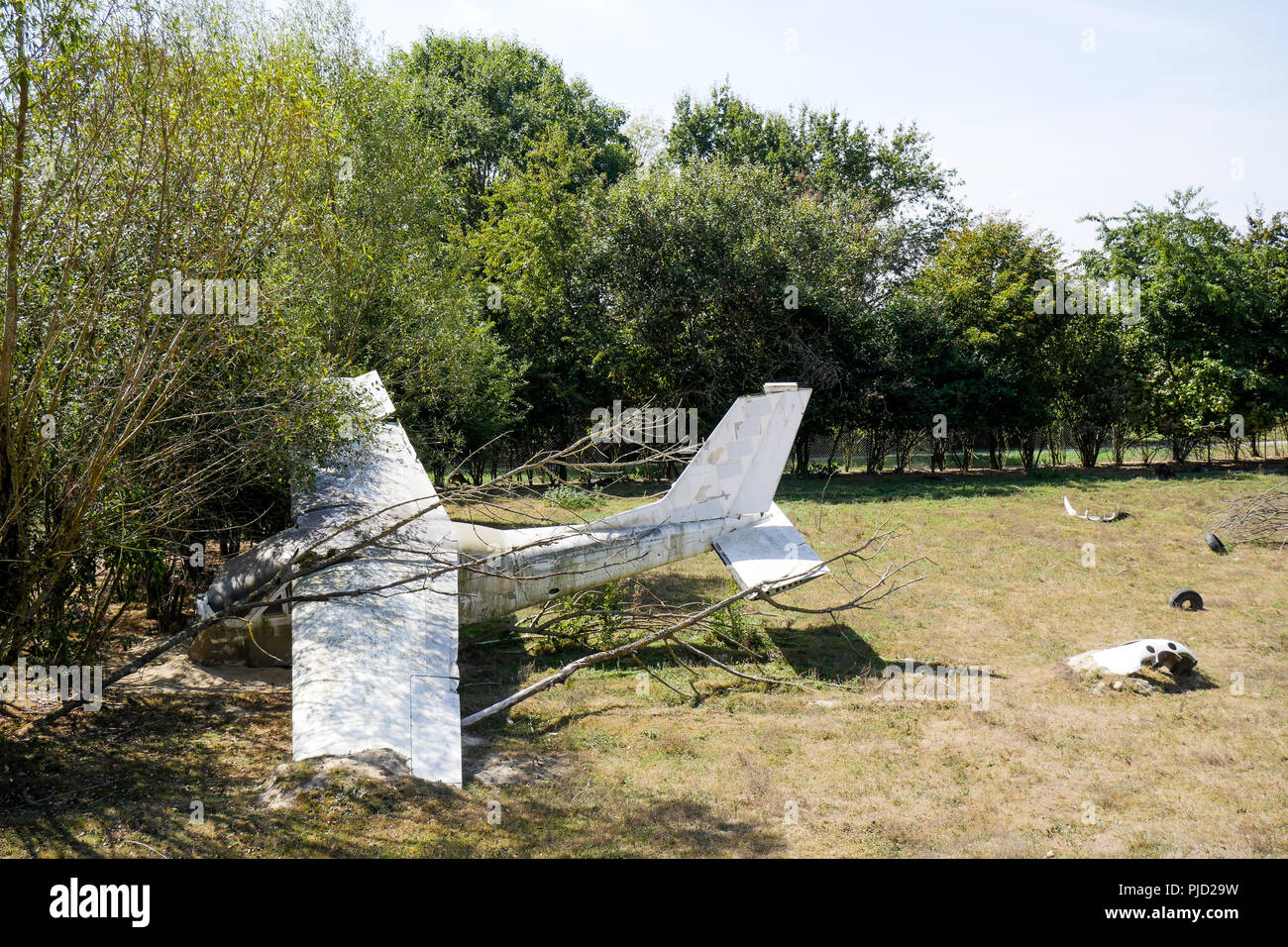 Abgestuerztes Flugzeug, Vogelpark, Villars les Dombes, Frankreich Stockfoto