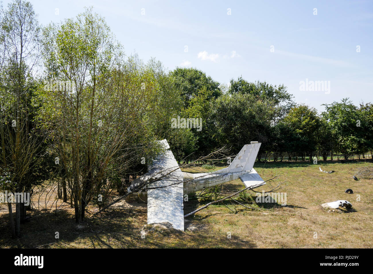 Abgestuerztes Flugzeug, Vogelpark, Villars les Dombes, Frankreich Stockfoto