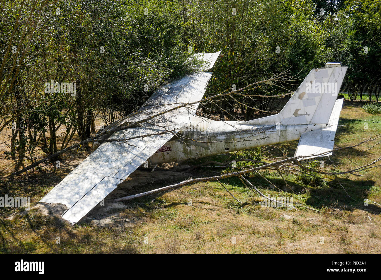 Abgestuerztes Flugzeug, Vogelpark, Villars les Dombes, Frankreich Stockfoto