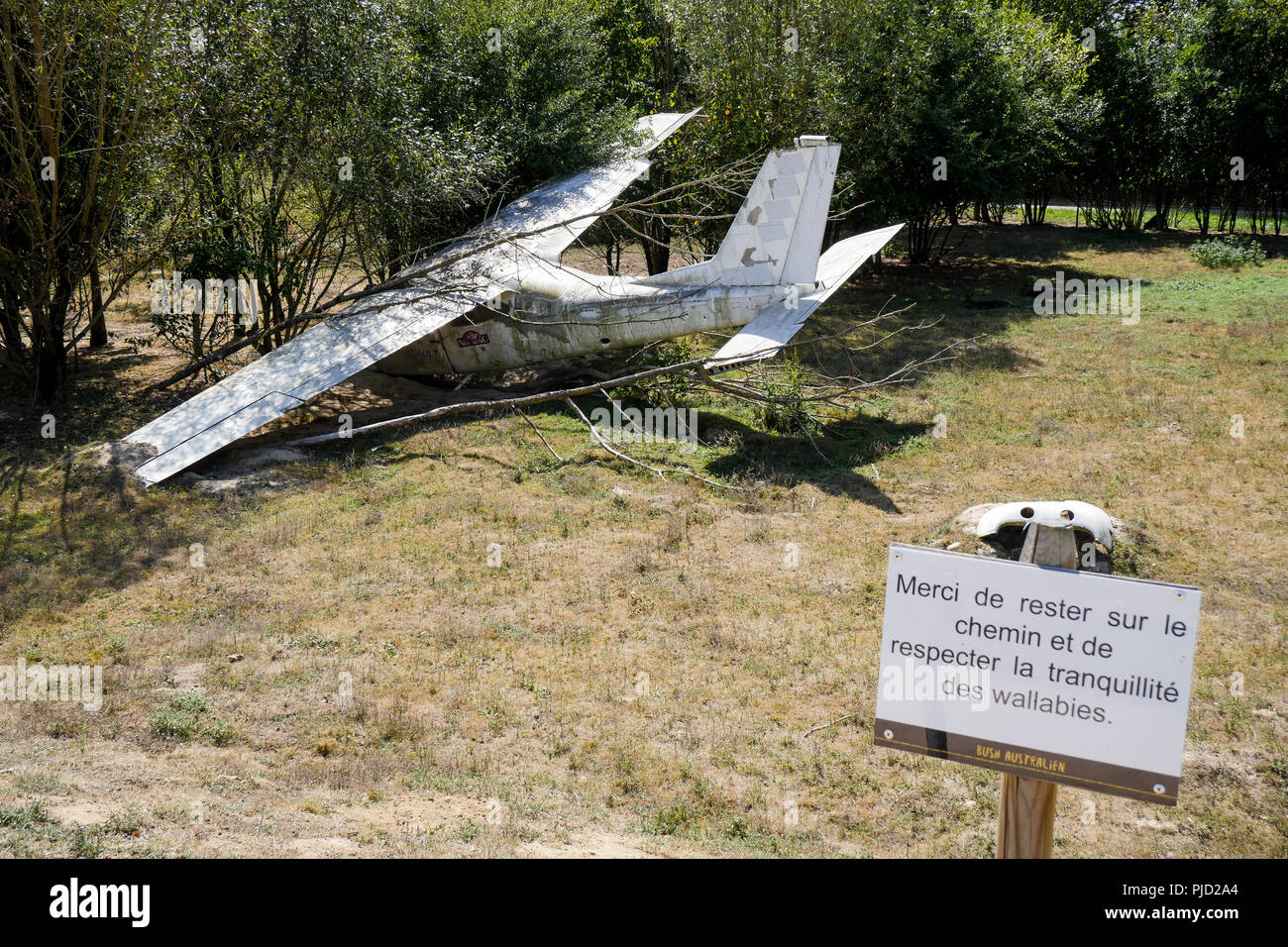 Abgestuerztes Flugzeug, Vogelpark, Villars les Dombes, Frankreich Stockfoto
