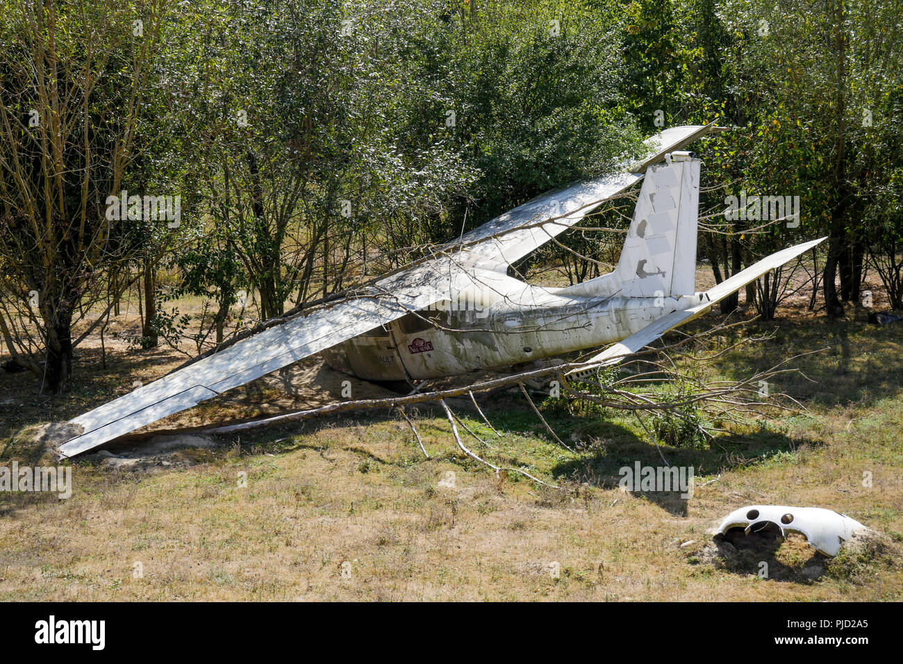 Abgestuerztes Flugzeug, Vogelpark, Villars les Dombes, Frankreich Stockfoto