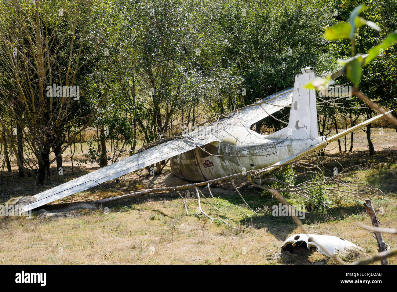 Abgestuerztes Flugzeug, Vogelpark, Villars les Dombes, Frankreich Stockfoto