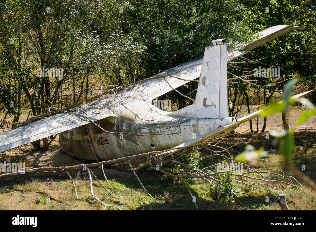 Abgestuerztes Flugzeug, Vogelpark, Villars les Dombes, Frankreich Stockfoto