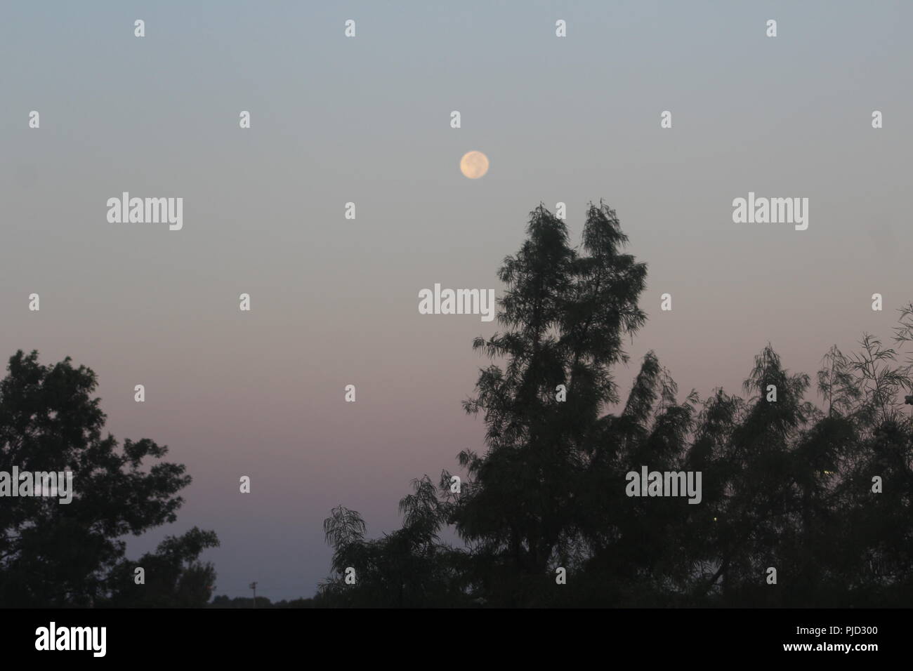 Ich sah den Mond und der Himmel sah ziemlich, so entschied ich mich, ein Foto zu machen und es sah sehr schön aus. Stockfoto