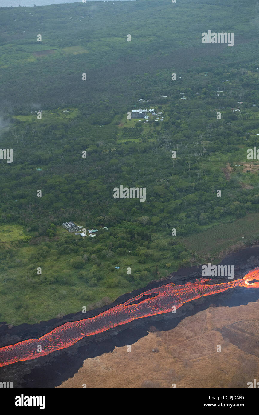 Luftaufnahme des Flusses des Lava fliesst durch landwirtschaftliche Grundstücke in Kapoho, Puna, Hawaii, von East rift zone der Kilauea Vulkan in der Nähe von Pahoa Stockfoto