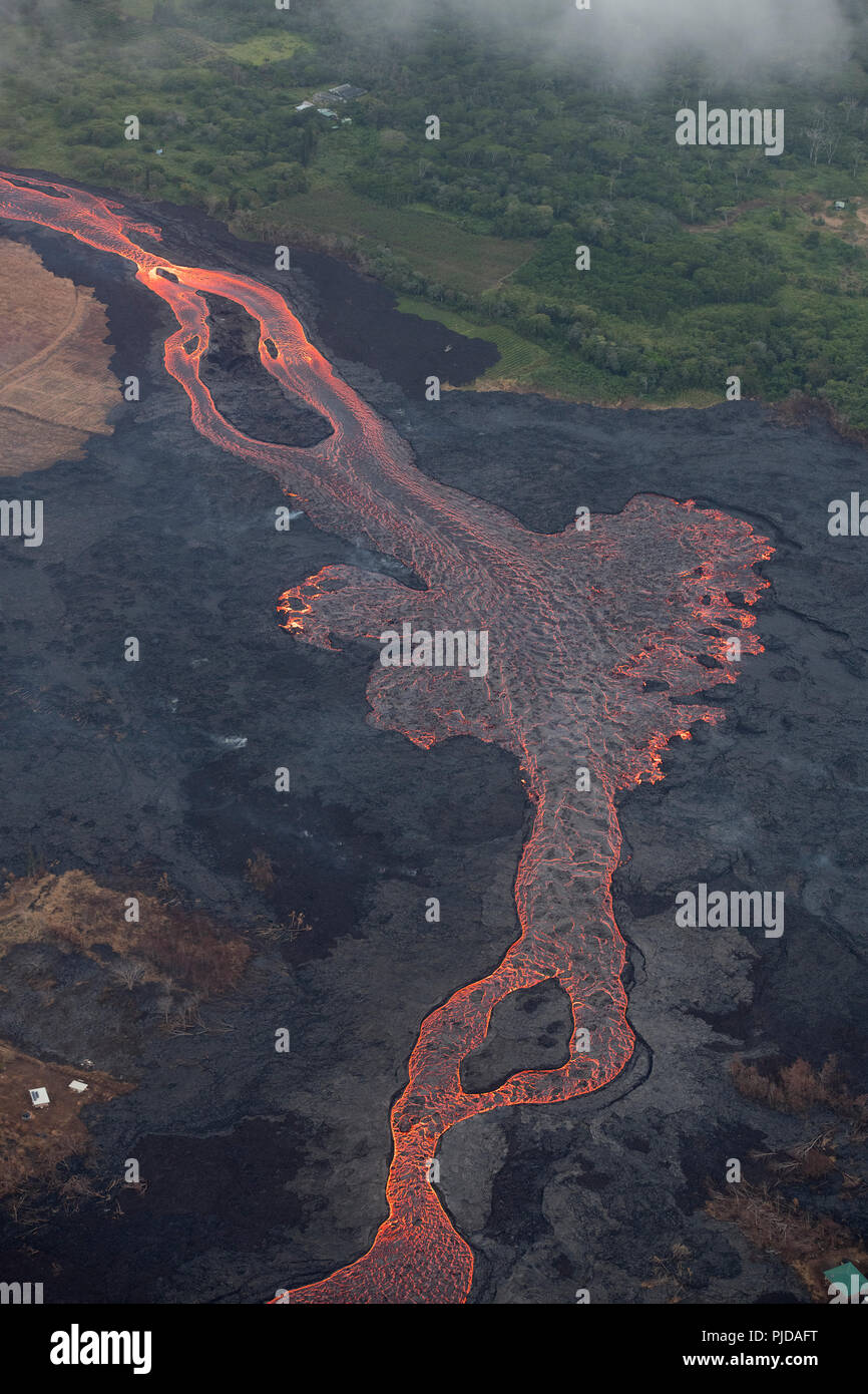 Luftaufnahme des Flusses des Lava fliesst durch landwirtschaftliche Grundstücke in Kapoho, Puna, Hawaii, von East rift zone der Kilauea Vulkan in der Nähe von Pahoa Stockfoto