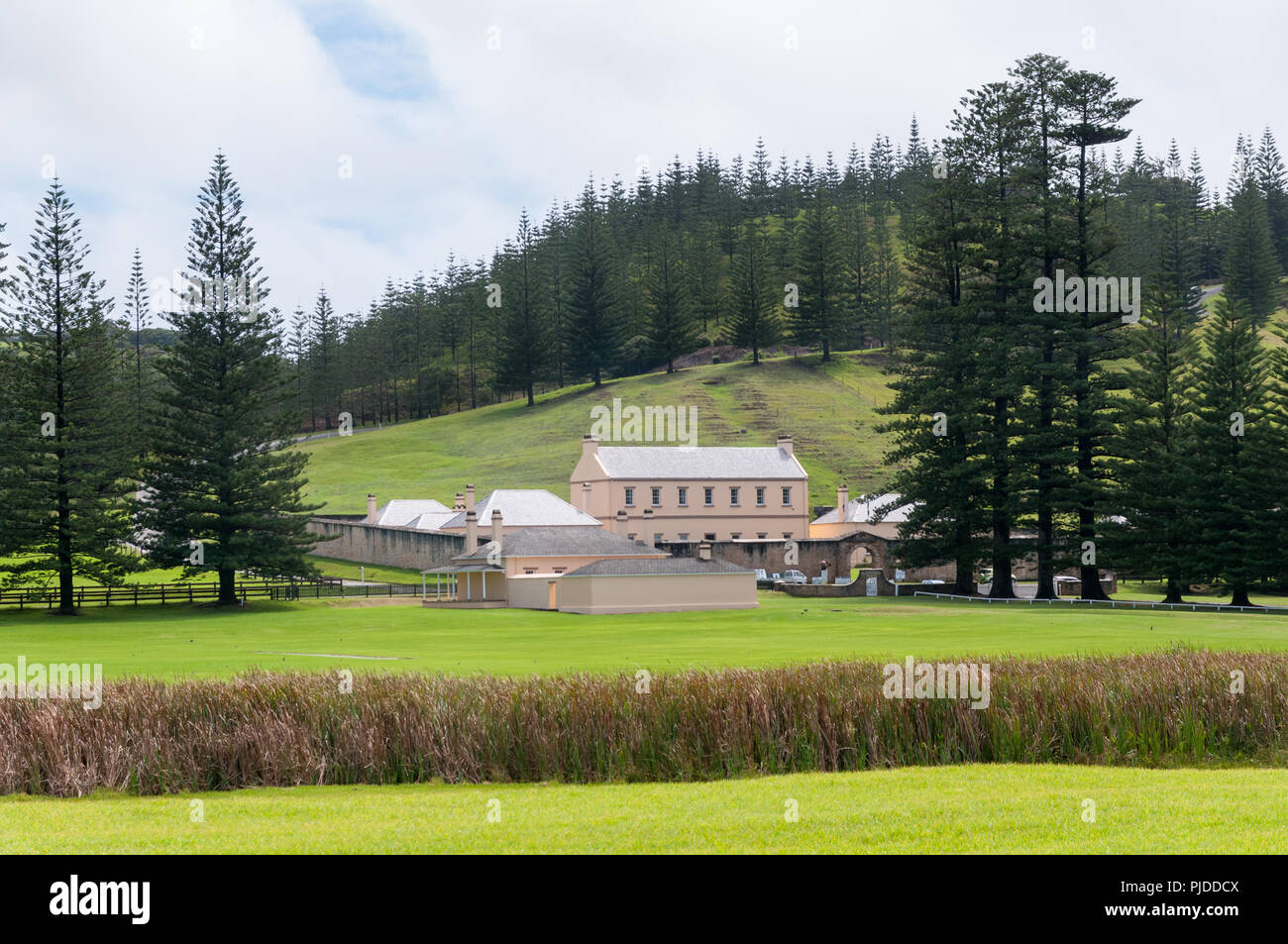 Alte Kaserne und Norfolk Pinien, Kingston, Norfolk Island Stockfoto