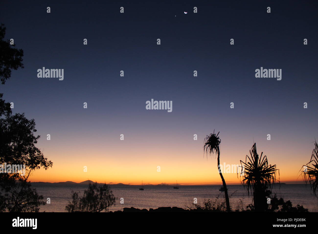 Sonnenuntergang über dem Strand von Hideaway Bay in Queensland, Australien, mit Palmen, des Mondes und des Mars. Stockfoto