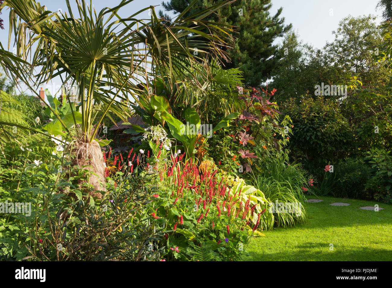 Der geheime Garten von Louth im Spätsommer. Louth, Lincolnshire, Großbritannien. August 2018. Auch bekannt als 68 Watt Lane. Stockfoto