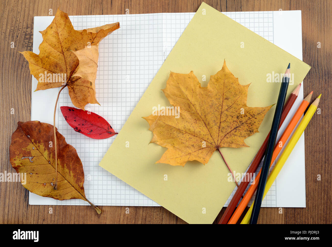 Herbst Basteln Stockfotos und -bilder Kaufen - Alamy