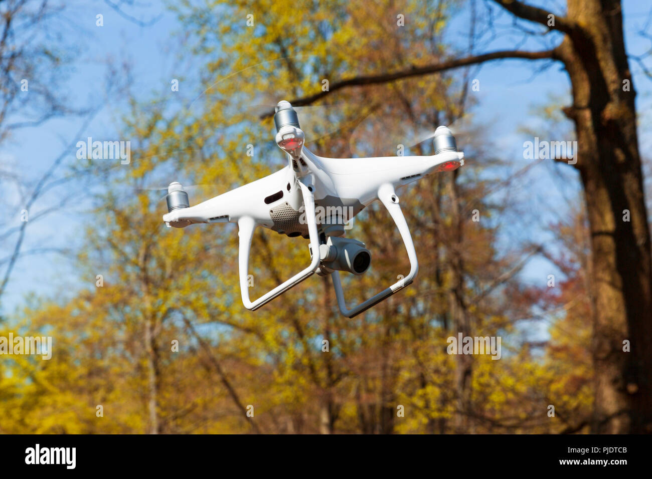 Drohne fliegen durch die Luft, während der Herbst Wald. Stockfoto