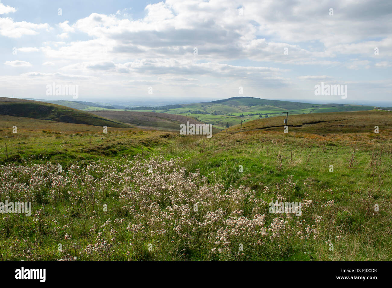 Blick von der Peak District National Park auf der A 537 von Macclesfield zu Buxton Stockfoto