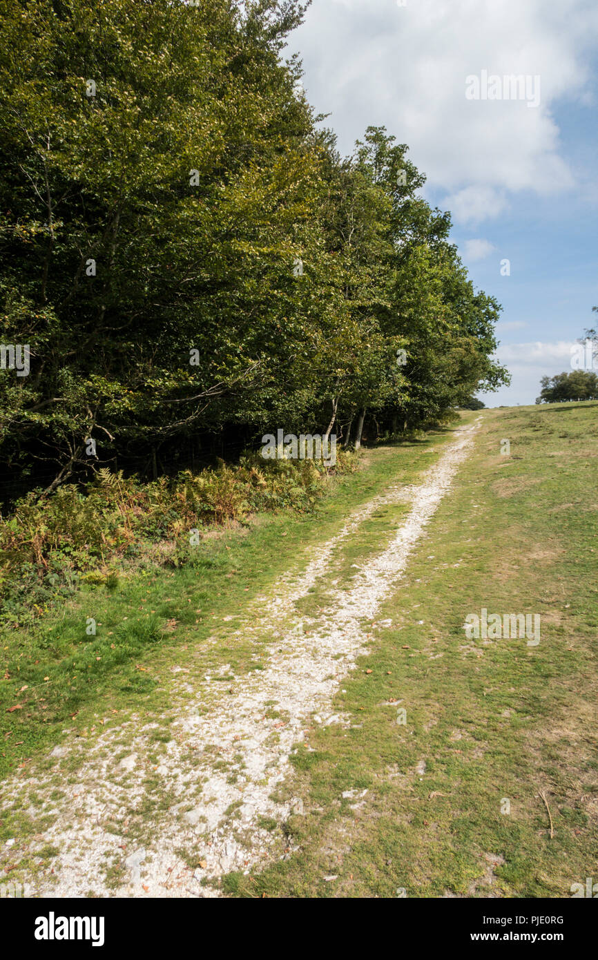 Pfad bis zu Lambert Schloss Eisenzeit Hill fort, in der Marshwood Vale, Dorset. Stockfoto