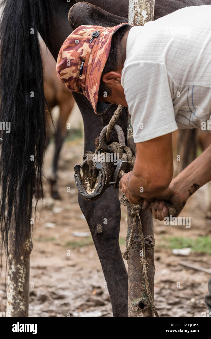 Karakol, Kirgisistan, 13. August 2018: Hufschmied auf den wöchentlichen Tiermarkt in Karakol änderungen Pferde Hufeisen Stockfoto