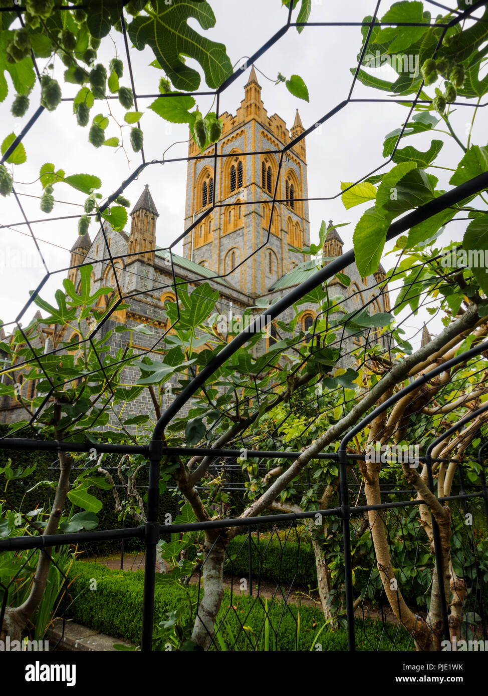 Benediktinerkloster Buckfast Abbey Kirche durch eine Frucht Bogen im Physic Garden gesehen Stockfoto