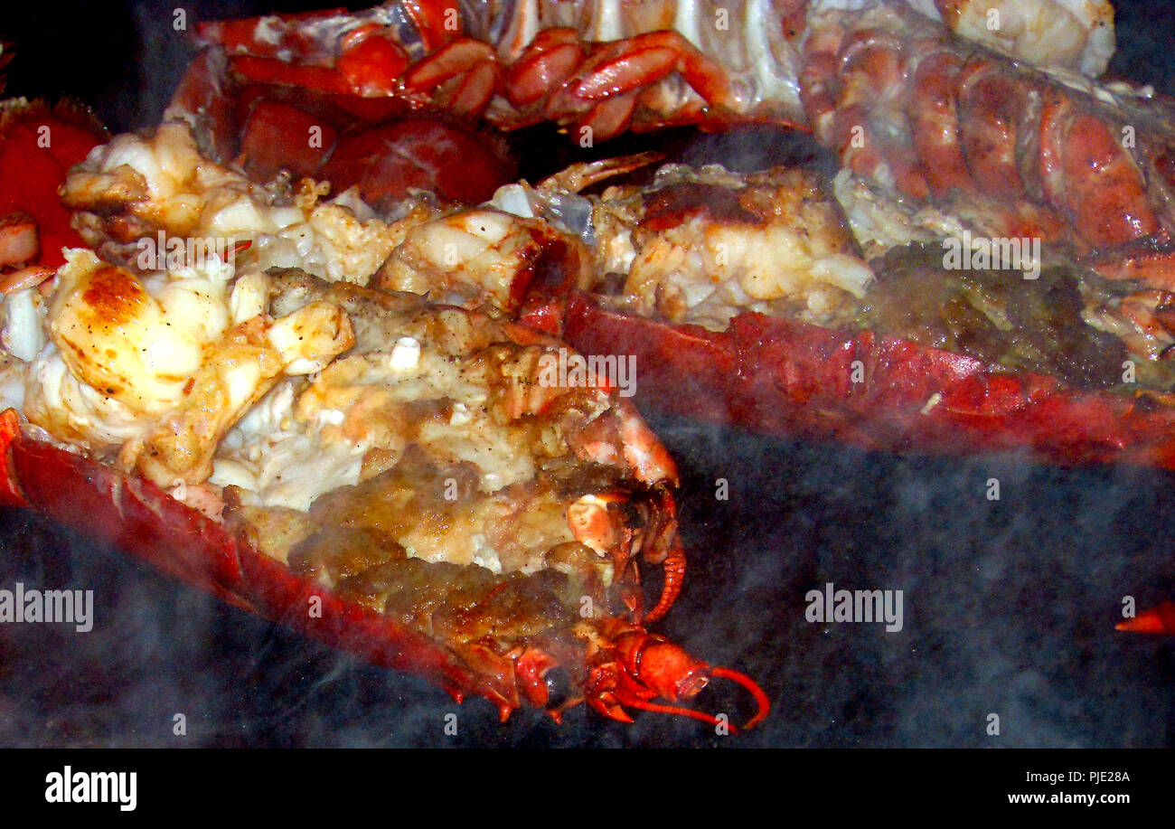 Hummer Hälften, die auf einer großen Pfanne gewürzt und bereit, in einem japanischen Sushi Restaurant in Amsterdam zu essen Fried Stockfoto