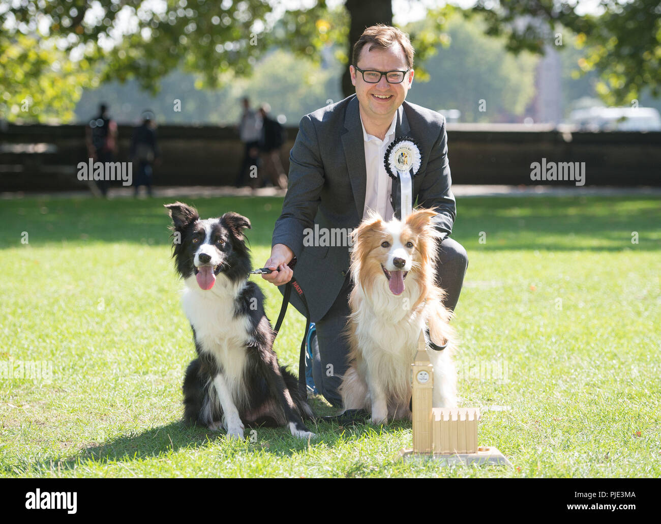 Redaktion VERWENDEN SIE NUR Boomer (rechts) und Corona, Zugehörigkeit zu Alex Norris MP sind als Gewinner der 26 Westminster Hund des Jahres Wettbewerb gemeinsam organisiert von Hunden Vertrauen und der Kennel Club Victoria Tower Gardens, Westminster angekündigt. Stockfoto