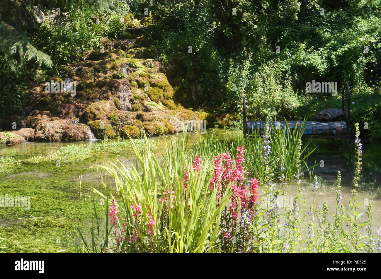 Massif de fleurs décoratives en Aménagement paysagé d'un jardin extraordinaire, dekorative Blumenbeet im Garten- und Landschaftsbau der Ausserordentlichen ga Stockfoto